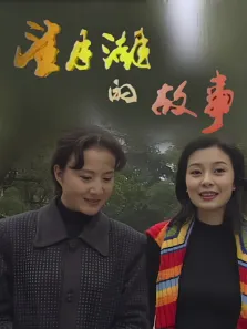 望月湖的故事电视剧海报