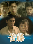 苦藤电视剧海报