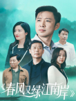 春风又绿江南岸电视剧海报