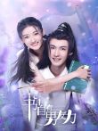 书中自有男友力电视剧海报