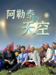 阿勒泰的天空电视剧海报