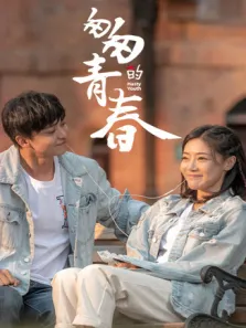 匆匆的青春电视剧海报