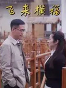 飞来横福电视剧海报