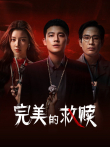 完美的救赎电视剧海报