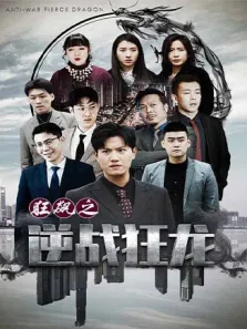 狂飙之逆战狂龙电视剧海报