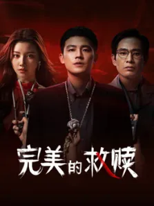 完美的救赎电视剧海报