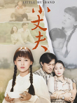 小丈夫妻大姐电视剧海报