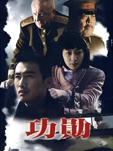 功勋 柳云龙版电视剧海报