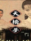 天桥梦电视剧海报