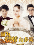 因为爱情有多美[DVD版]电视剧海报