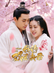 我的双面夫君电视剧海报