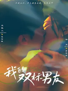 我的双标男友电视剧海报