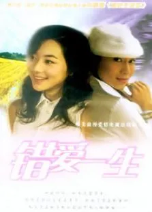 错爱一生电视剧海报