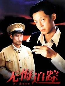 无悔追踪电视剧海报
