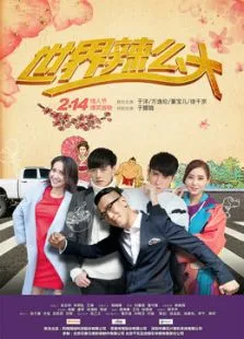 世界辣么大电视剧海报