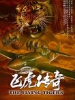 飞虎传奇电视剧海报