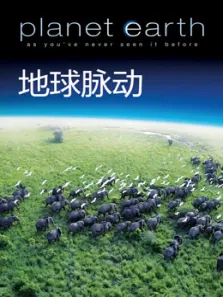 BBC：地球脉动电视剧海报