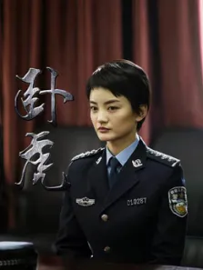 卧虎电视剧海报