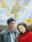迎春的故事电视剧海报