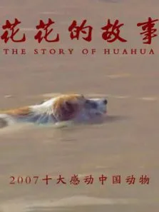 花花的故事电视剧海报
