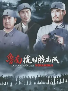 鲁南抗日游击队电视剧海报