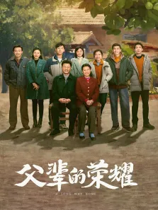 父辈的荣耀电视剧海报