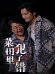 菜田里犯了错电视剧海报