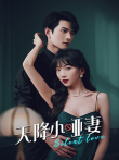 天降小哑妻电视剧海报