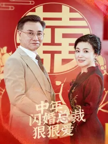 中年闪婚总裁狠狠爱电视剧海报