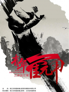 �����Ԫ��֮�������DVD��