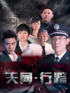 天网·行踪电视剧海报