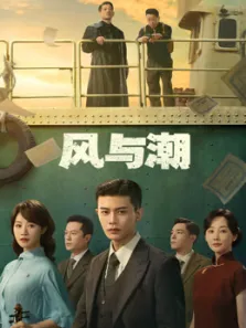 风与潮电视剧海报