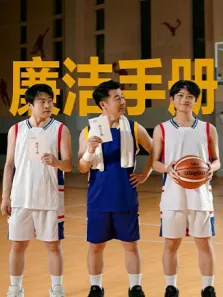 廉洁手册电视剧海报