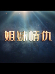 姐妹情仇电视剧海报
