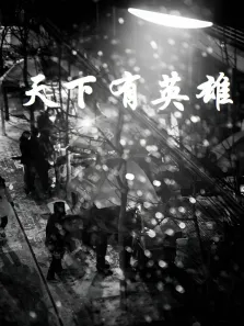 天下有英雄电视剧海报