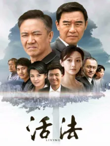 活法 30集版电视剧海报