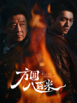 方圆八百米电视剧海报