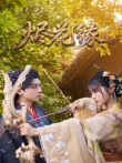 烬花缘电视剧海报