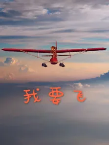 飞向蓝天电视剧海报