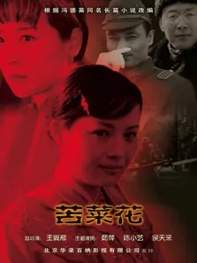 苦菜花电视剧海报