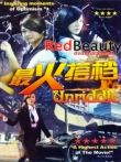 最火搭档电视剧海报