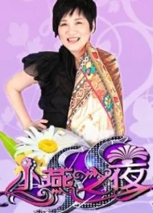 ss小燕之夜综艺海报