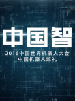 中国智综艺海报