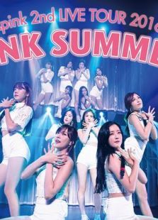 Apink PINK SUMMERѲݳ 2016.7.10