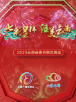 2023云南春晚综艺海报