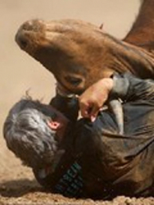 �ִ��Ƕ�ʿ����������ĶĲ�����ȫ��