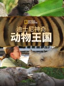 ��ʿ�����涯��������2������ȫ��