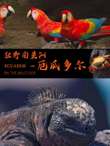 ��Ұ�����ޡ�����϶�� Ӣ�İ�