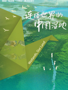 ����������й�ʪ������ȫ��