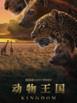 动物王国综艺海报
